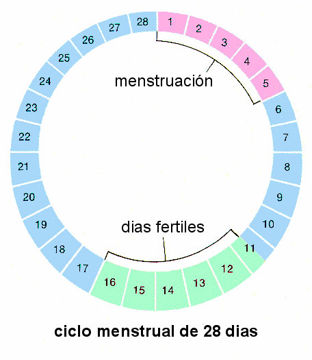 Нарушение менструального цикла лечение
